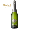 WINO MUSUJĄCE CAVA SEGURA VIUDAS RESERVA SEMI SECO 0.75L