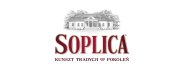 Soplica